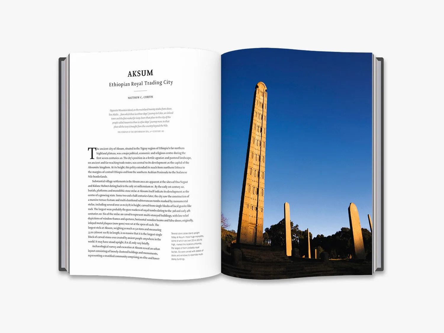 Thames & Hudson Cities That Shaped Ancient World historiebog