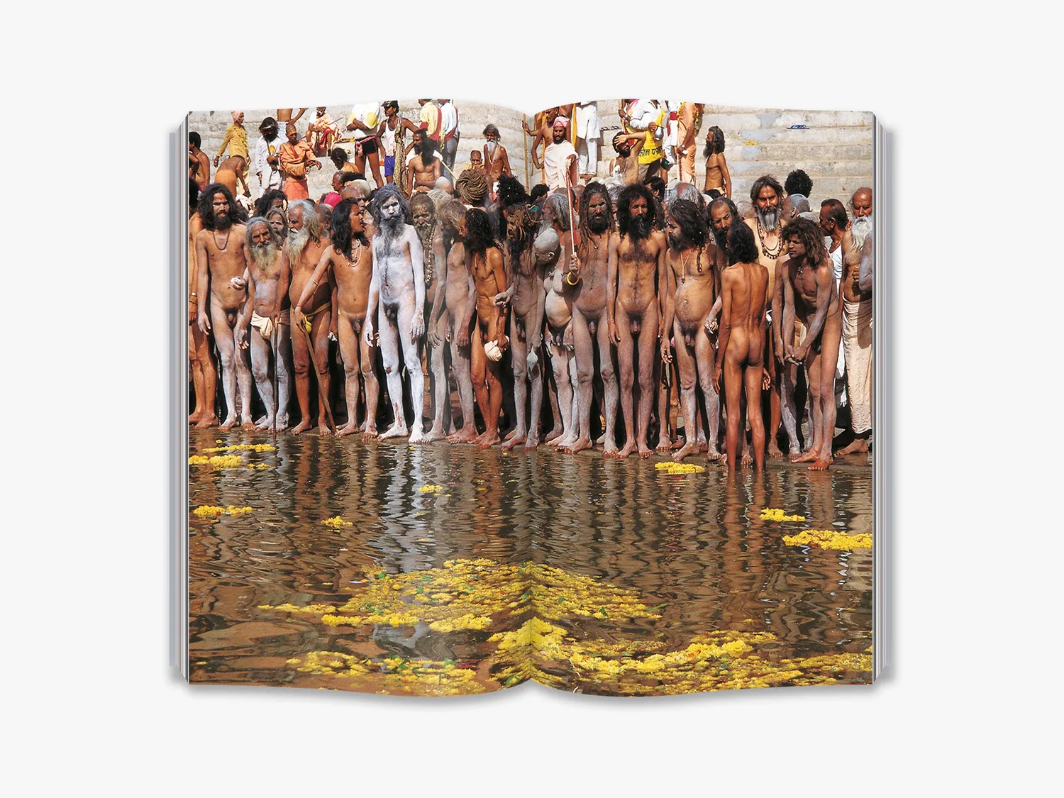 Thames & Hudson Sadhus fagbog Indien foto