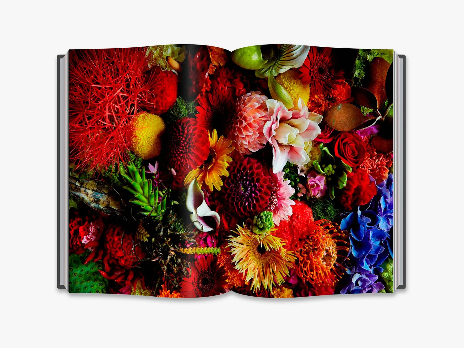 Thames & Hudson Flora Magnifica fotobog – blomster i årstider