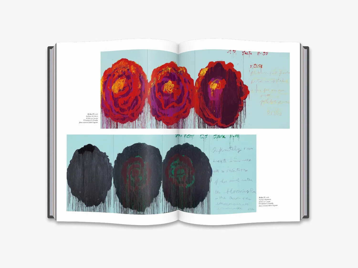 Thames & Hudson Cy Twombly bog monografi maleri