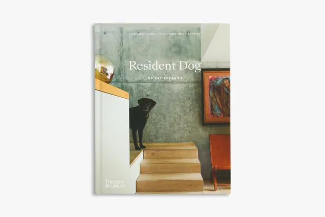 Thames & Hudson Resident Dog bog om huse og hunde