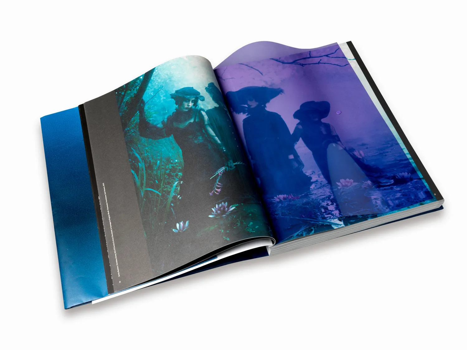 Thames & Hudson Tim Walker Shoot for the Moon fotobog mode