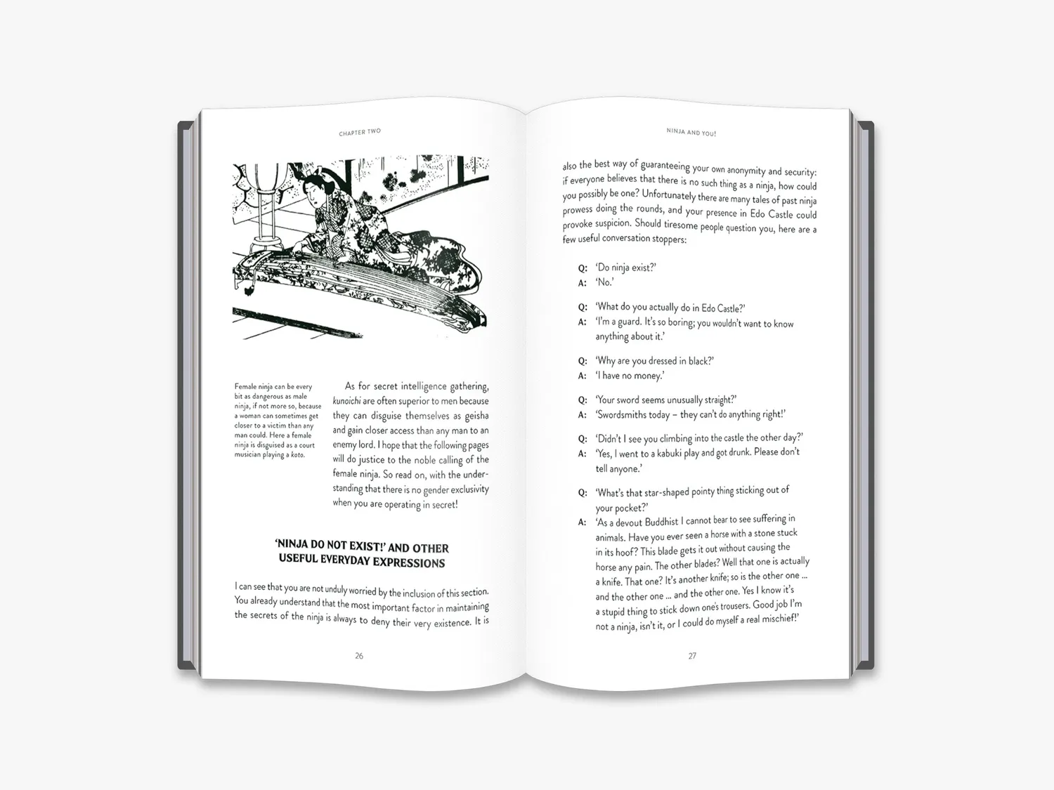 Thames & Hudson Ninja bog – japansk historie