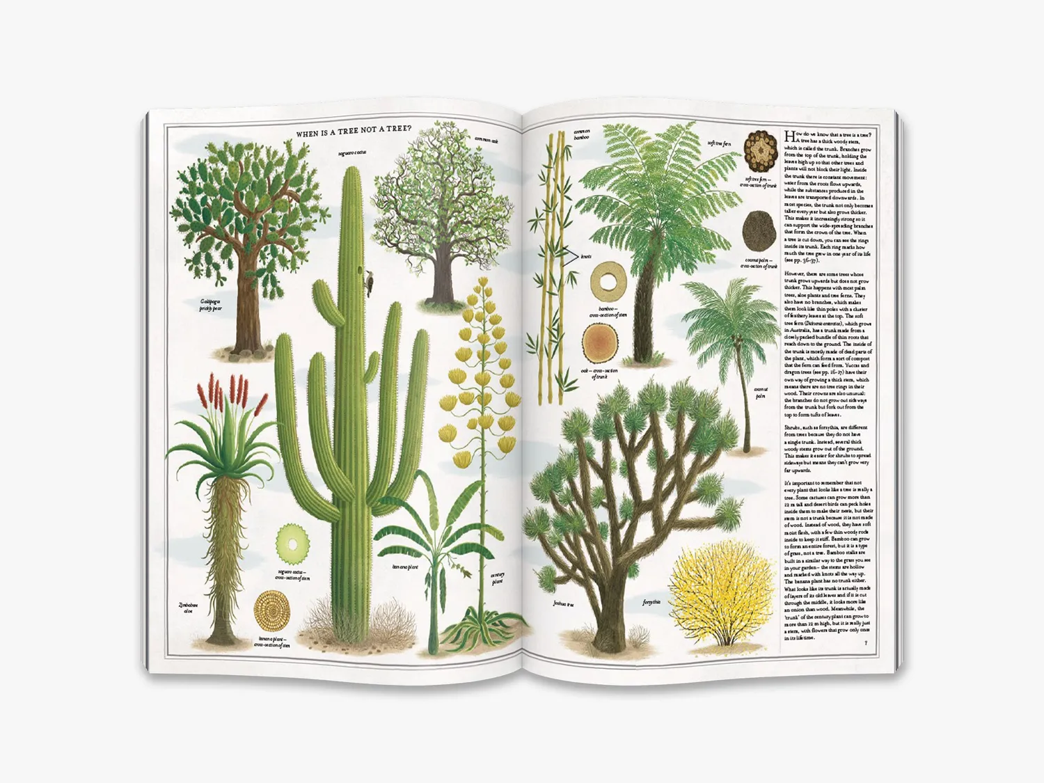 Thames & Hudson The Book of Trees børnebog natur