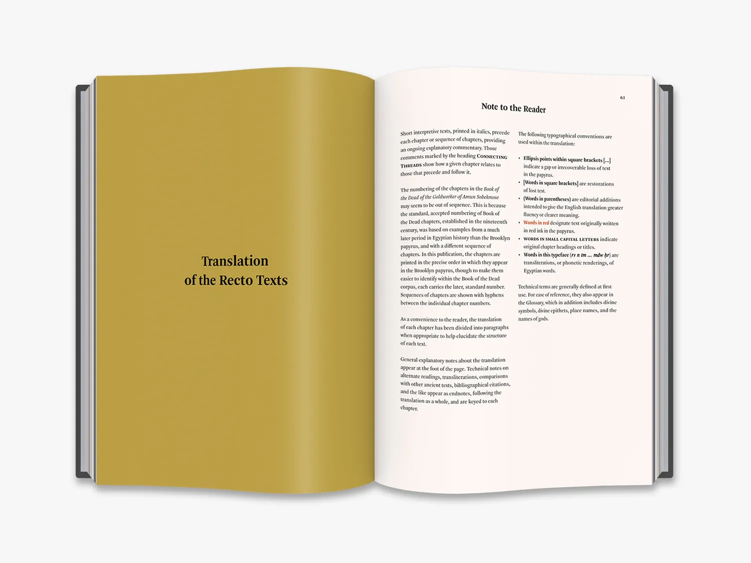 Thames & Hudson An Ancient Egyptian Book of the Dead bog oldtid