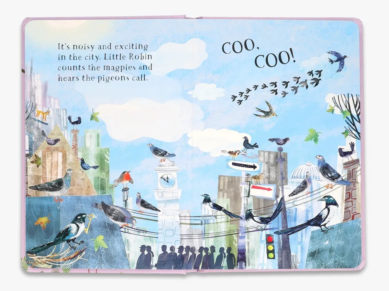 The Big Book Little Robin's Book of Birds papbog fugle