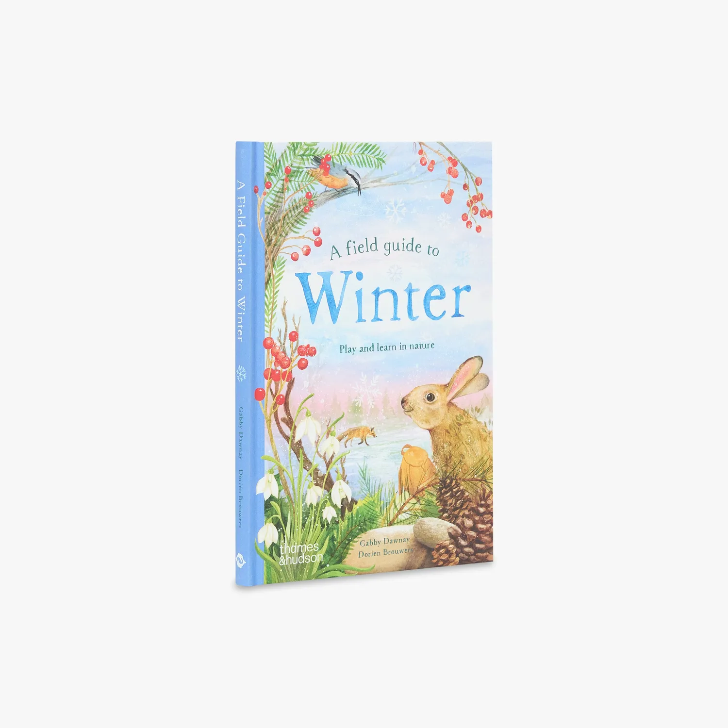 Thames & Hudson A Field Guide to Winter børnebog natur