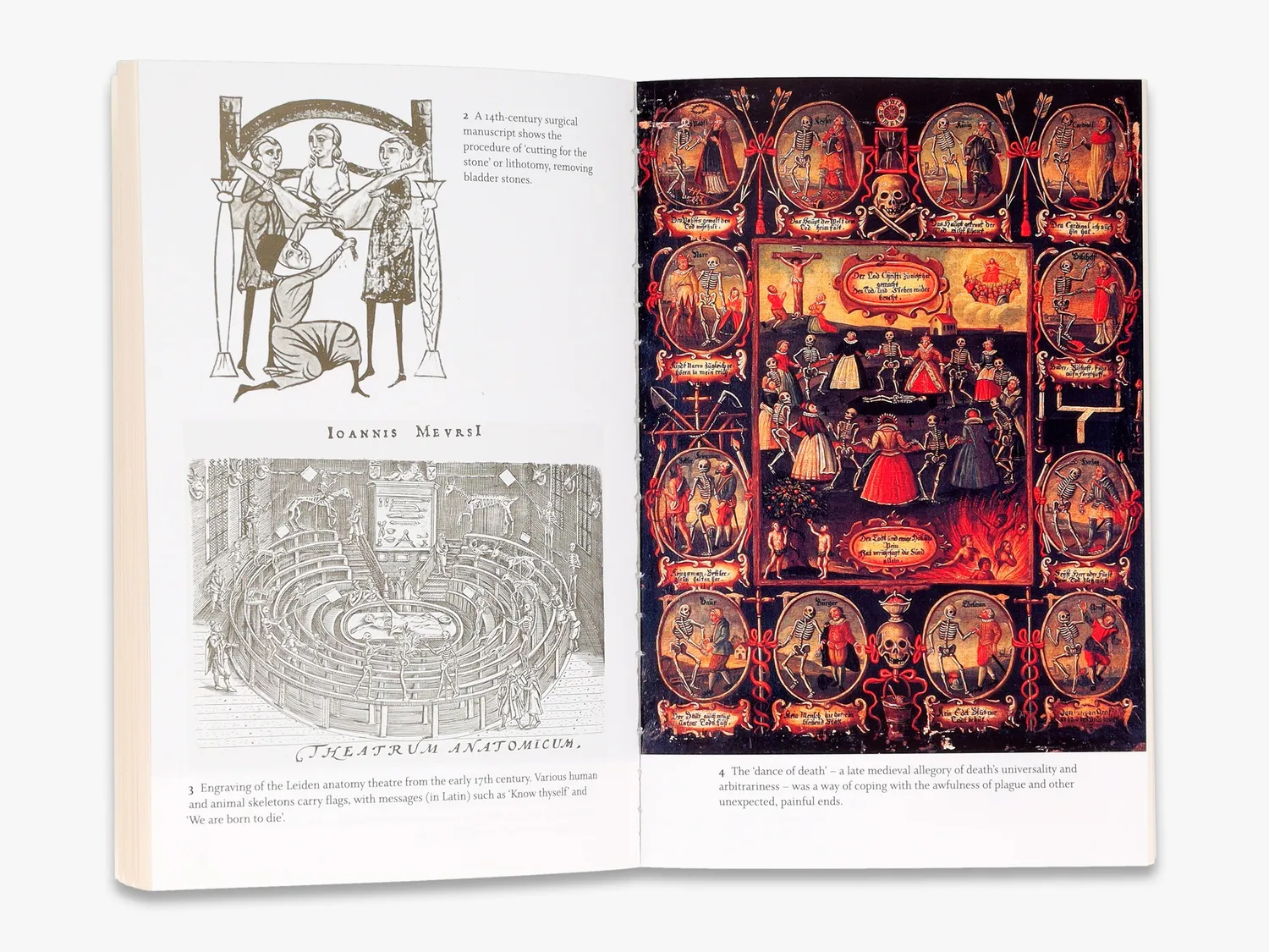Thames & Hudson Great Discoveries in Medicine bog medicinhistorie