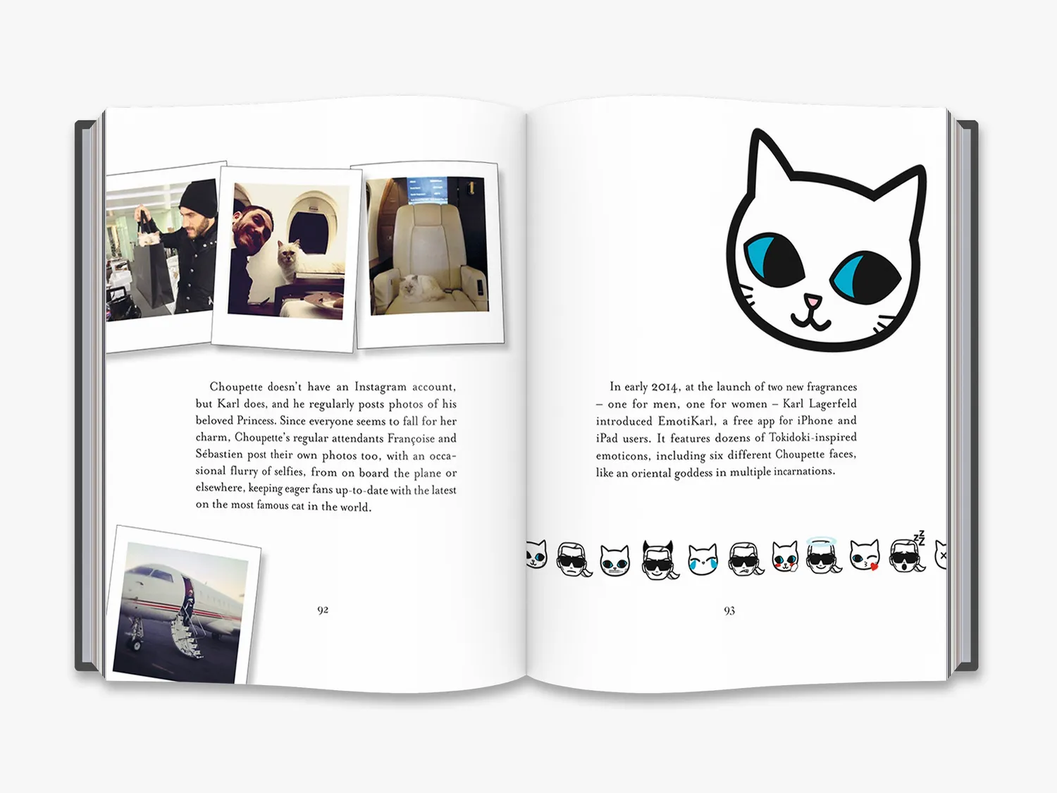 Thames & Hudson Choupette bog Karl Lagerfeld kat gave