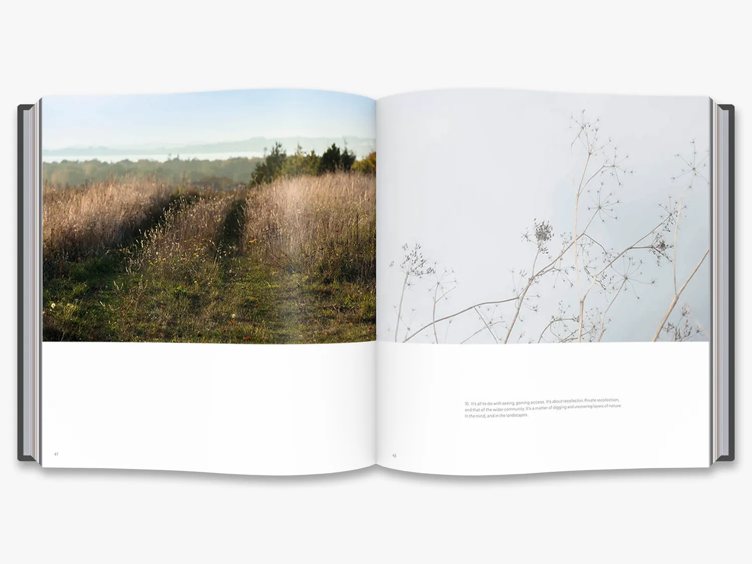 Thames & Hudson Your Glacial Expectations kunstbog Eliasson