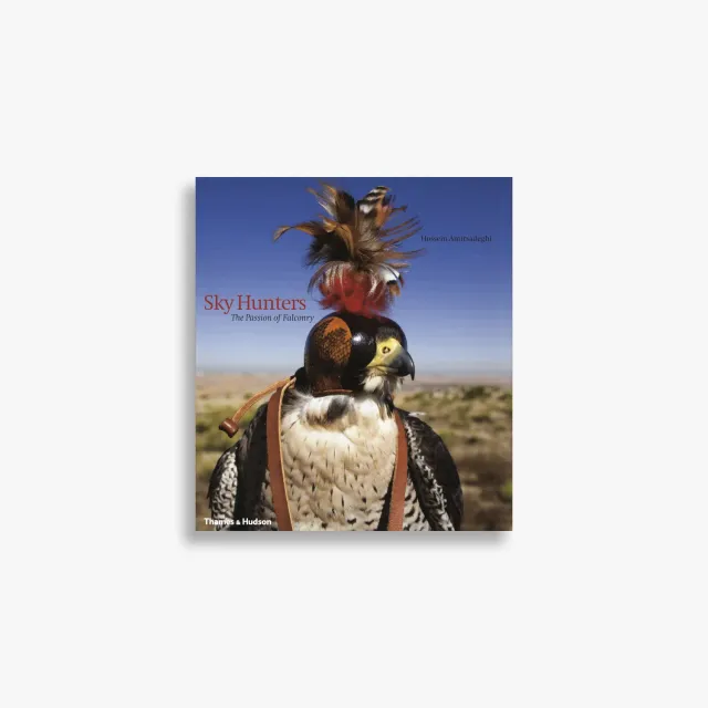 Thames & Hudson Sky Hunters bog falkejagt illustreret
