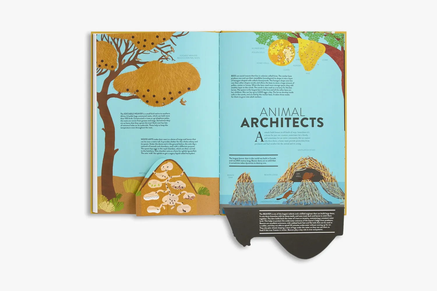 Thames & Hudson Animal bog Hélène Druvert illustreret