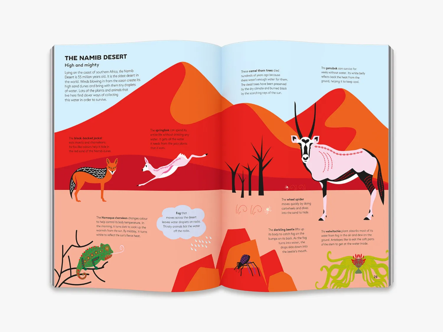 Thames & Hudson Hoot and Howl across the Desert børnebog