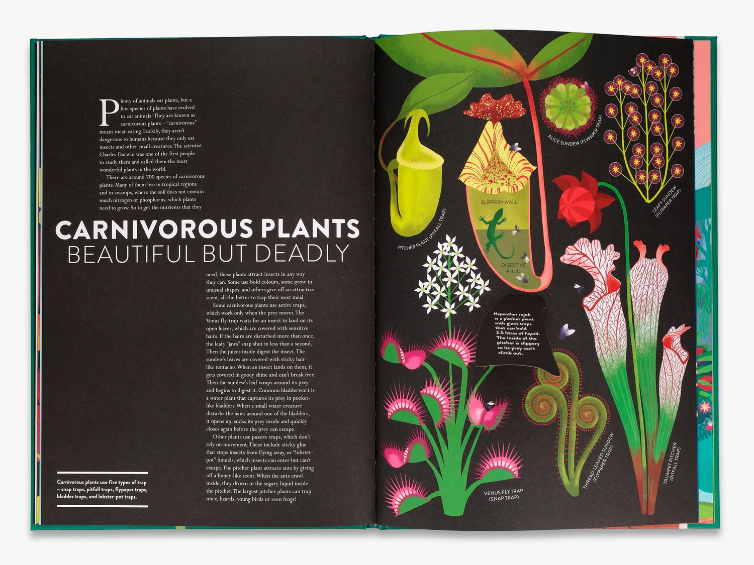 Thames & Hudson Plant Life bog illustreret fakta