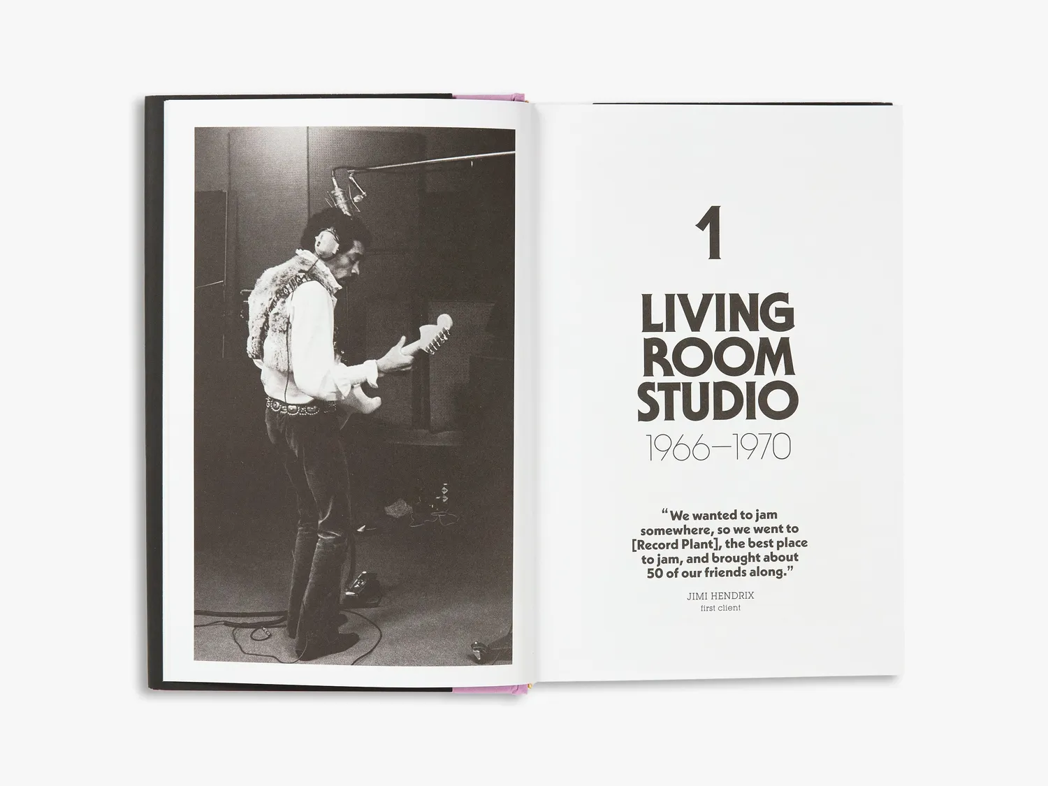 Thames & Hudson Buzz Me In bog Record Plant rockhistorie