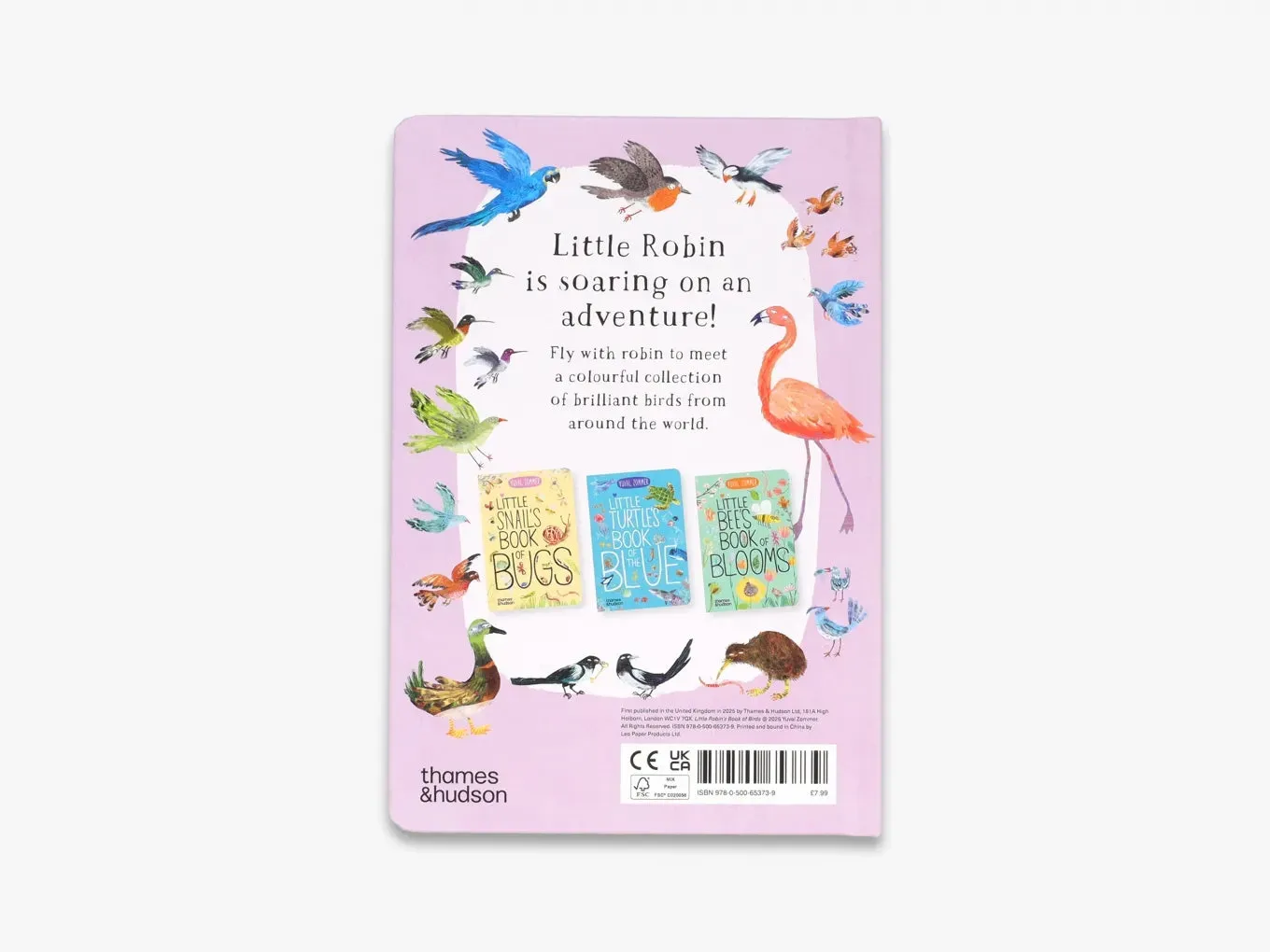 The Big Book Little Robin's Book of Birds papbog fugle
