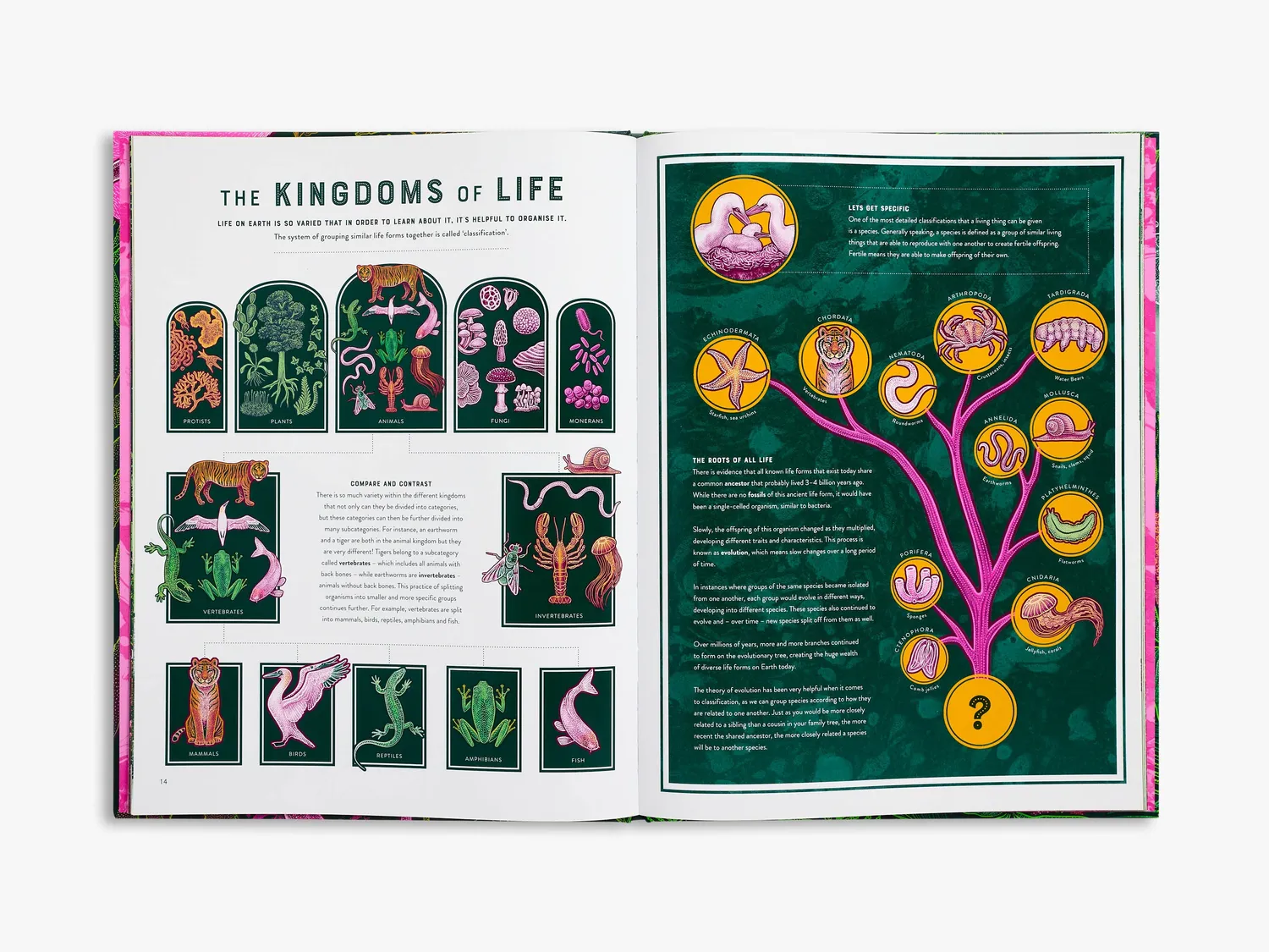 Wild Wonders Life børnebog biodiversitet Smith