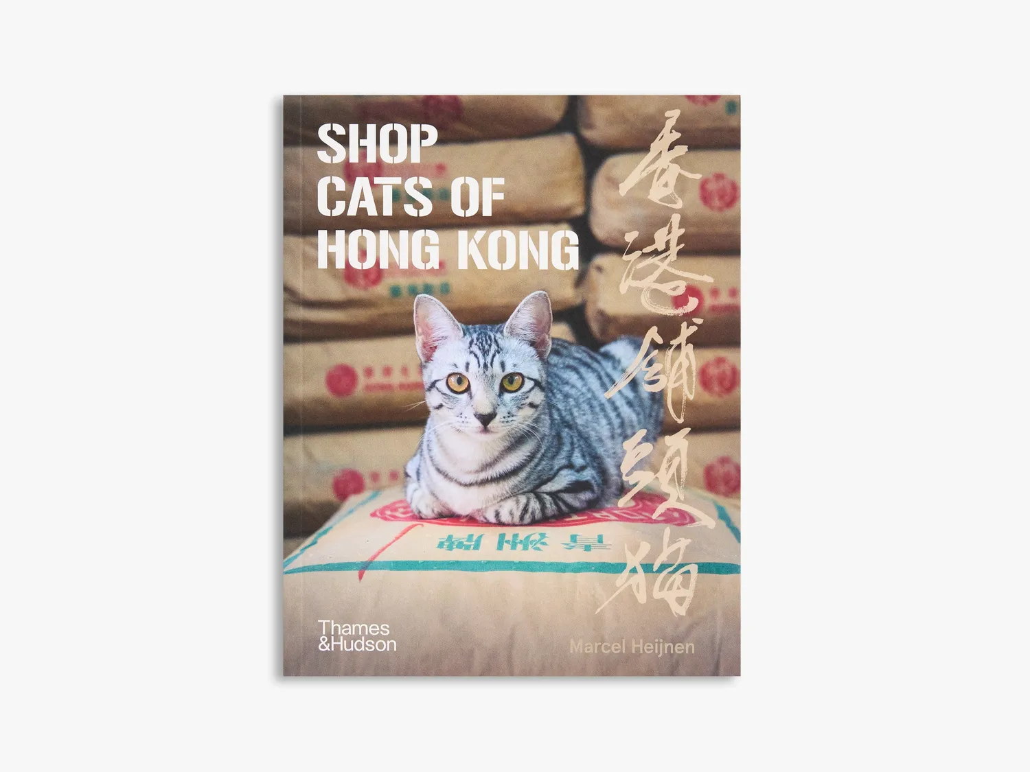 Thames & Hudson Cats of sæt kattebog 3 bind Istanbul