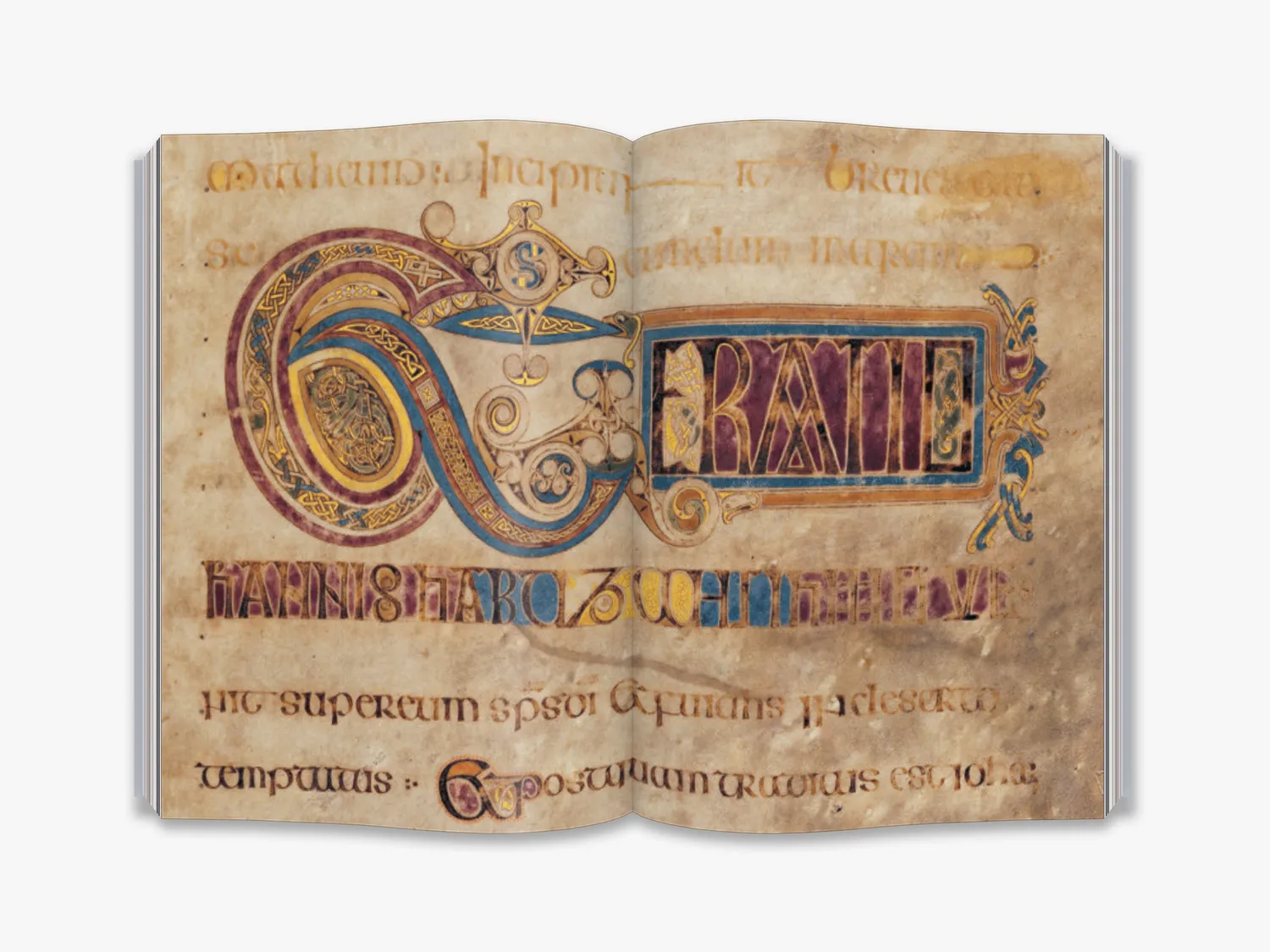Thames & Hudson The Book of Kells bog illustreret guide