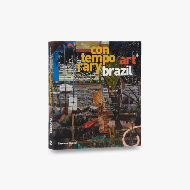 Thames & Hudson Contemporary Art Brazil kunstbog illustreret