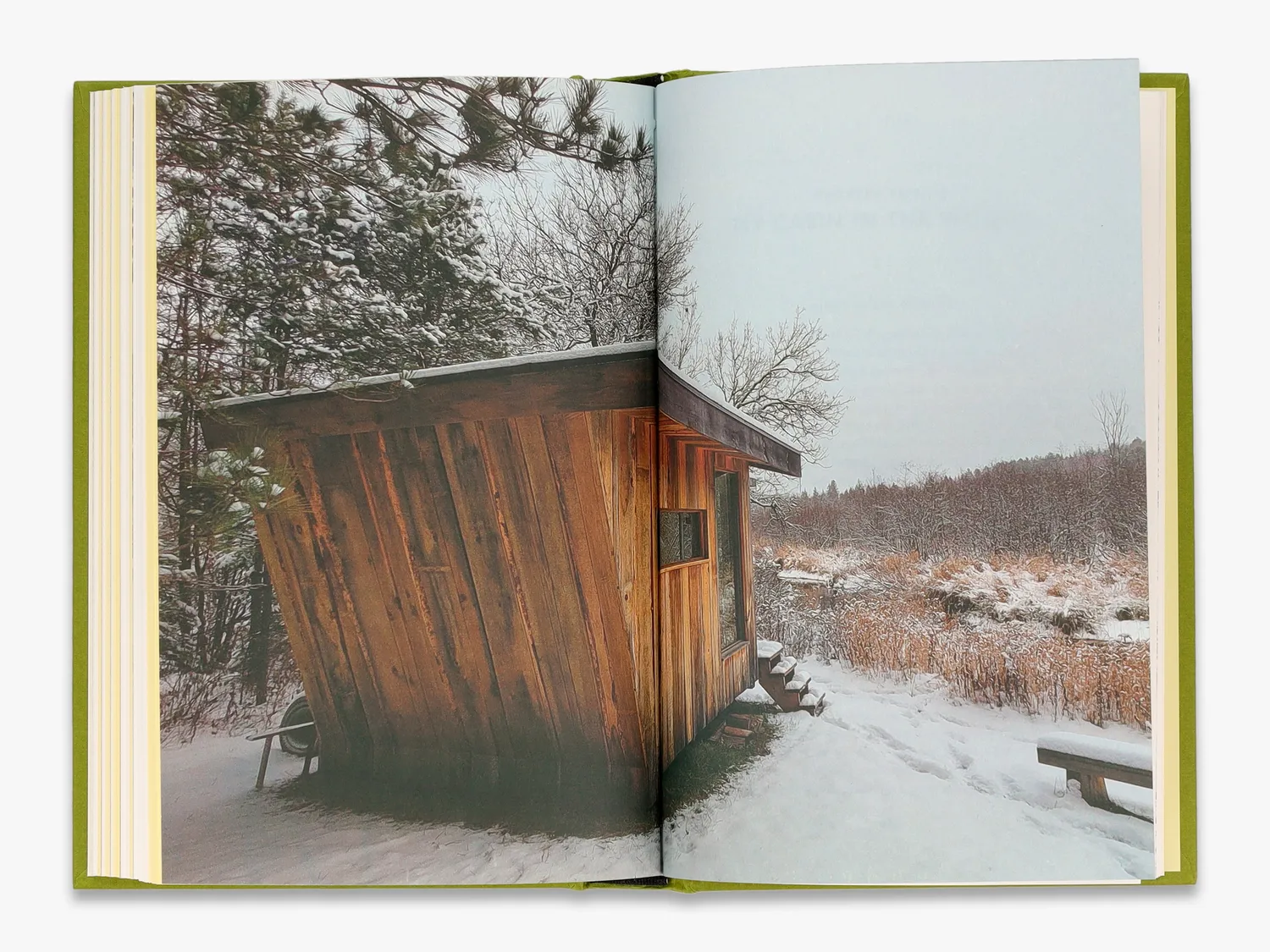Thames & Hudson Cabin bog Will Jones hyttebyggeri