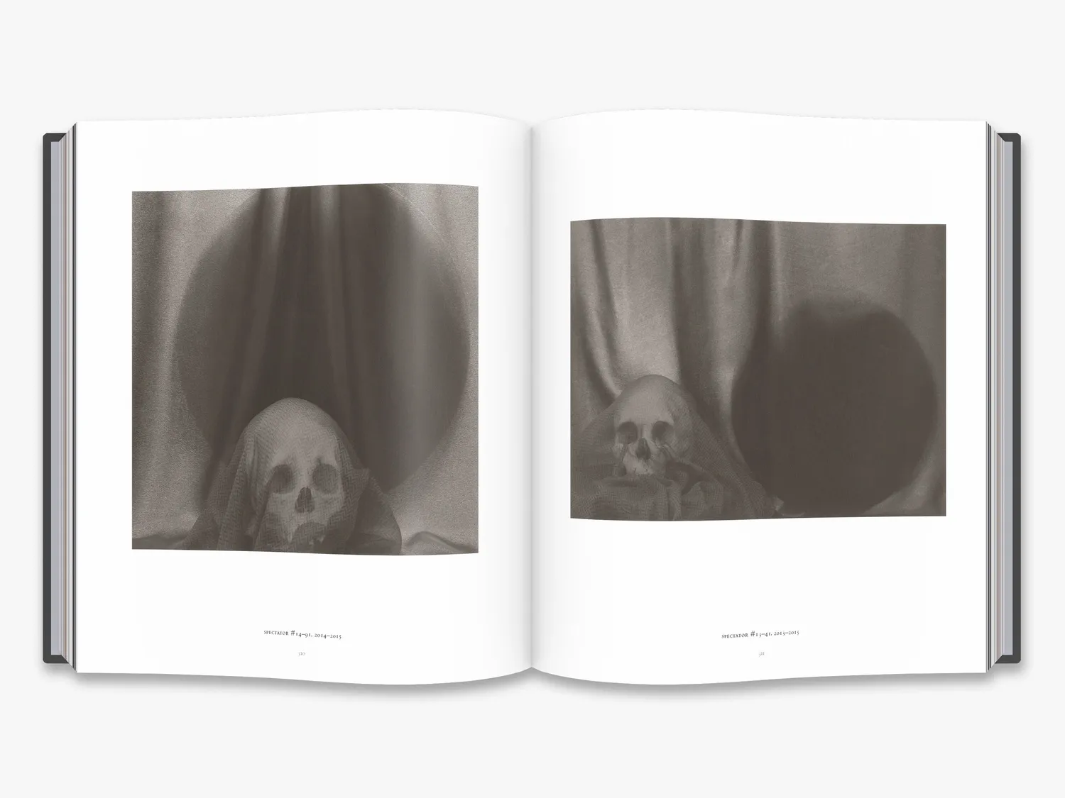 Thames & Hudson Skull Lynn Stern fotobog kranier