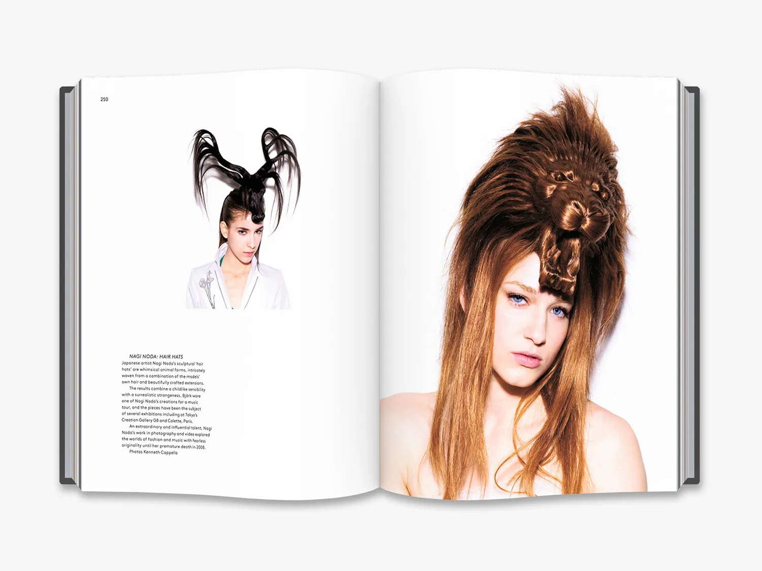 Thames & Hudson Hair Fashion and Fantasy bog frisurer