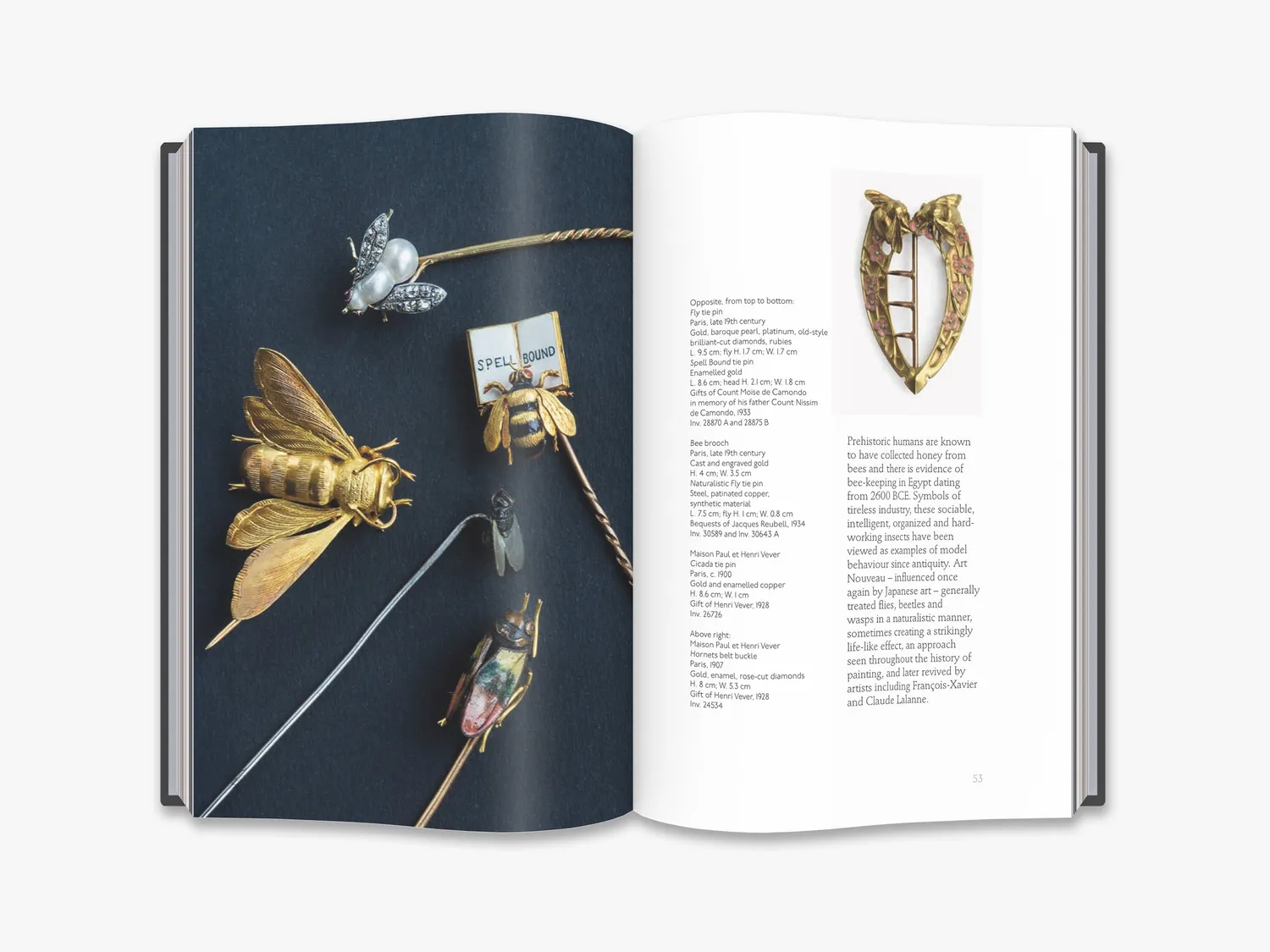Thames & Hudson Fauna smykkebog – dyr