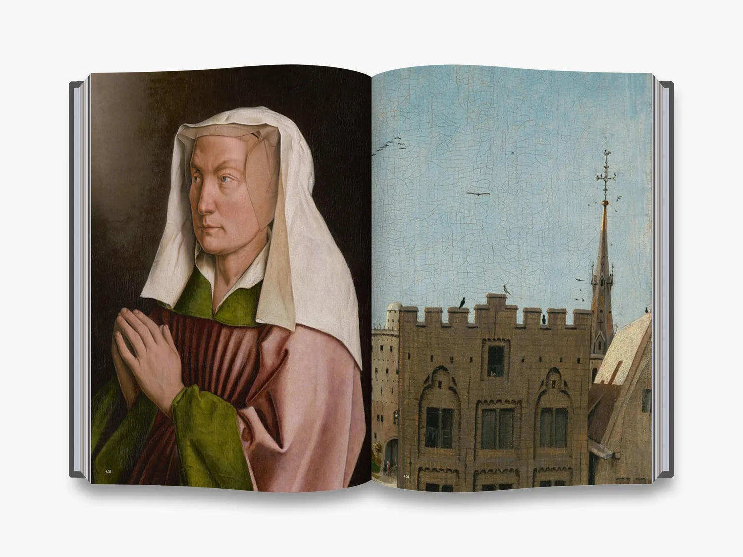 Thames & Hudson Van Eyck bog illustreret udstillingskatalog