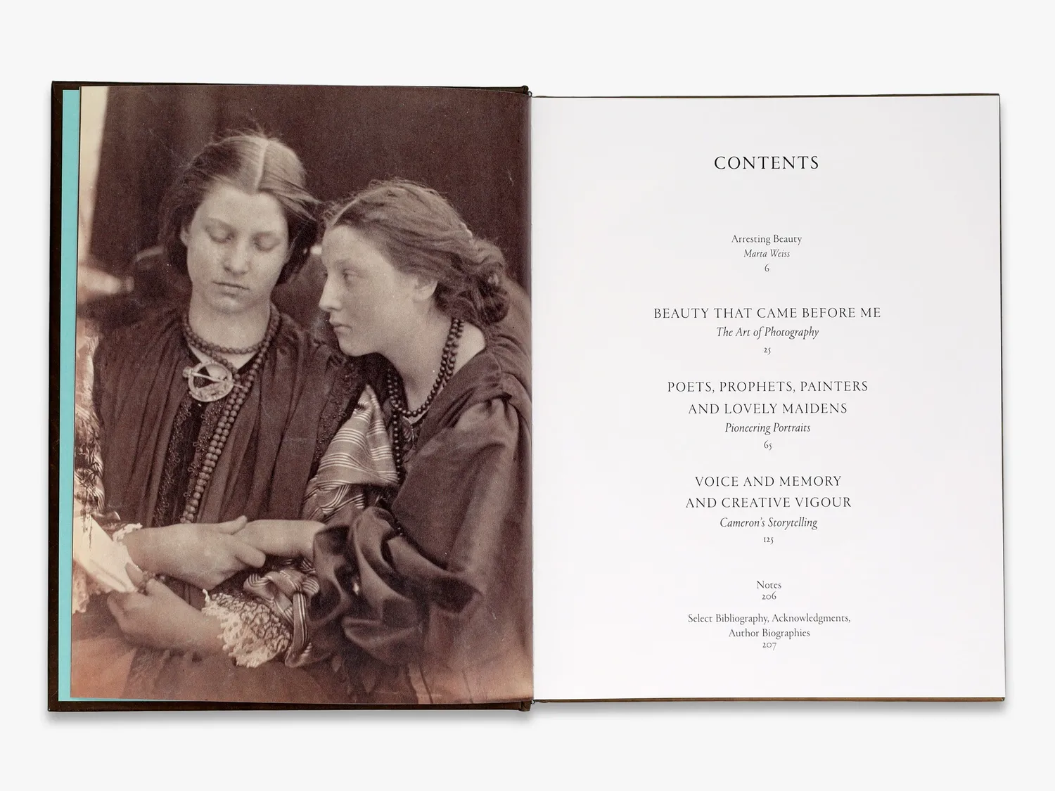 Thames & Hudson Julia Margaret Cameron Arresting Beauty fotobog V&A