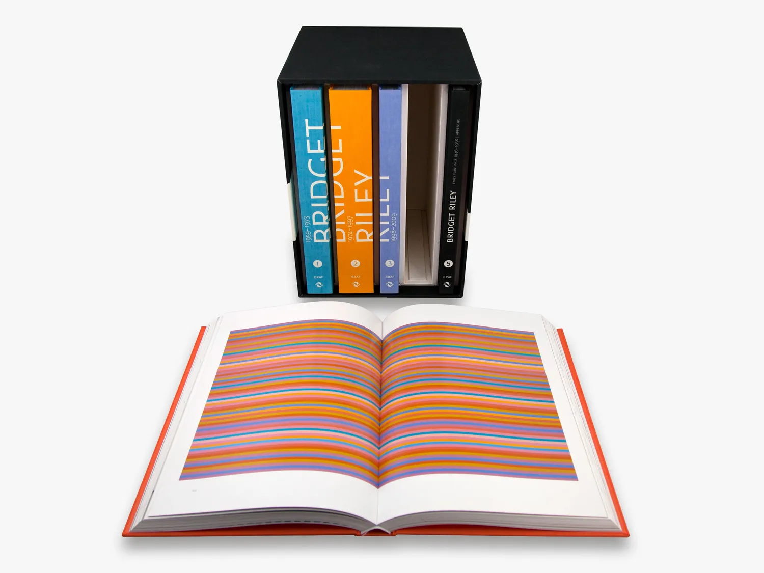 Thames & Hudson Bridget Riley Complete Paintings kunstbog illustreret