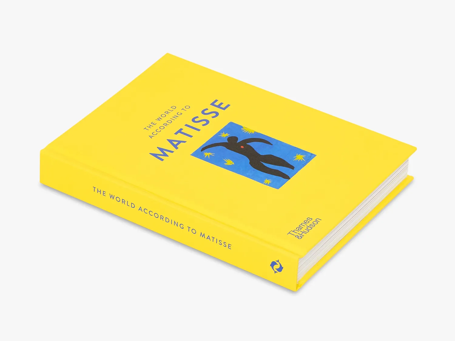 Thames & Hudson The World According to Matisse bog illustreret