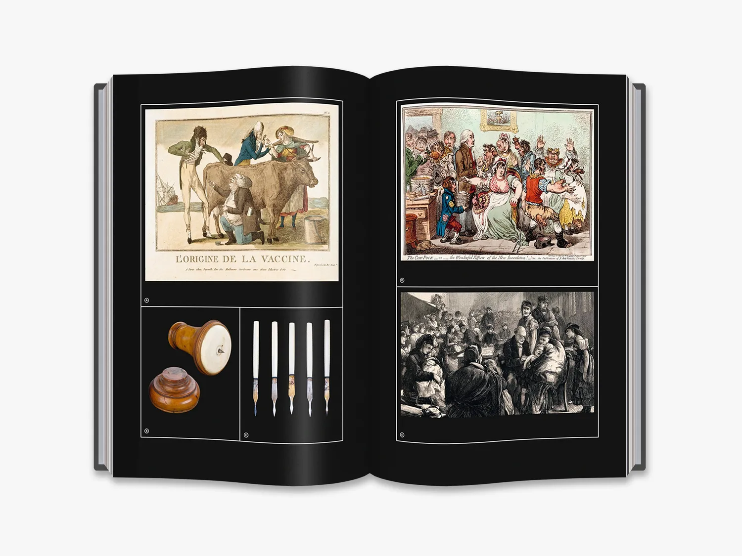Thames & Hudson The Sick Rose bog medicinhistorie