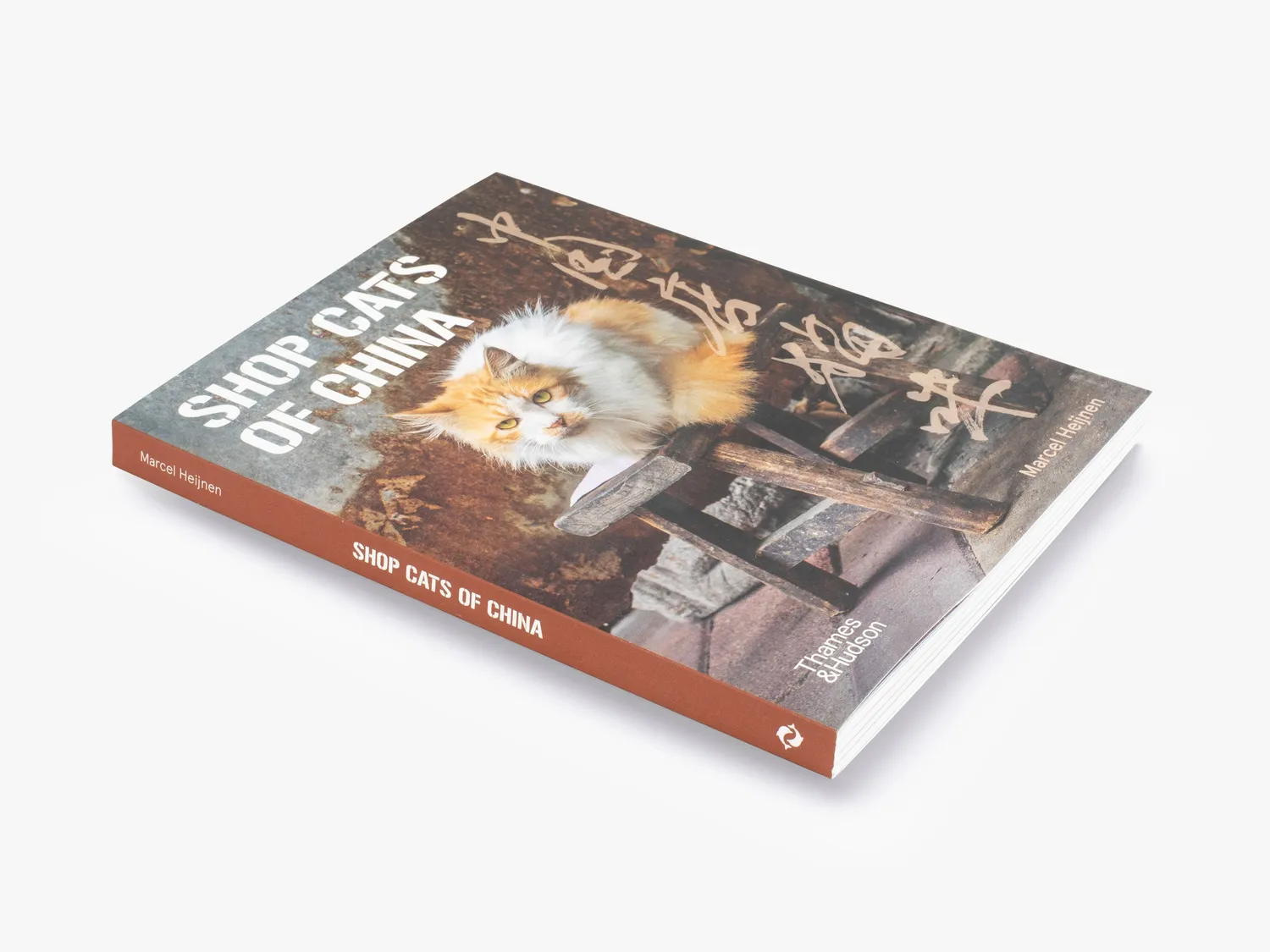 Thames & Hudson Shop Cats of China fotobog katte