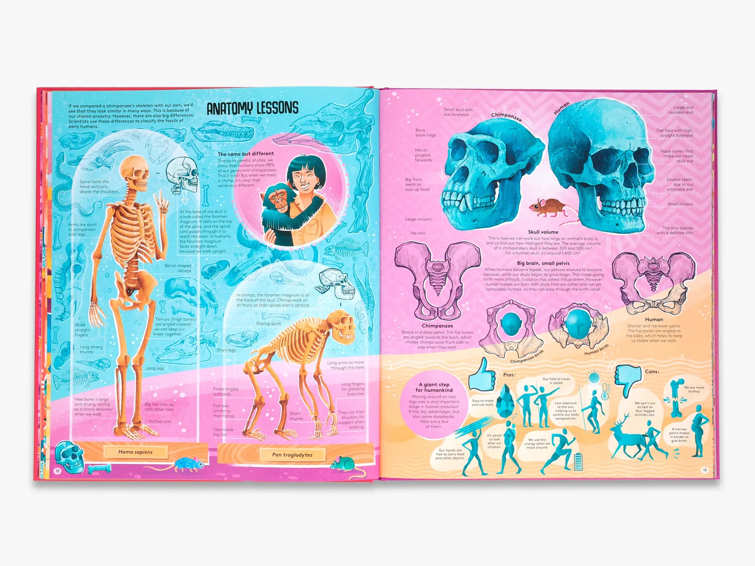 Thames & Hudson Femina Sapiens fagbog illustreret