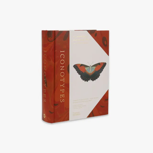 Thames & Hudson Iconotypes fagbog sommerfugle