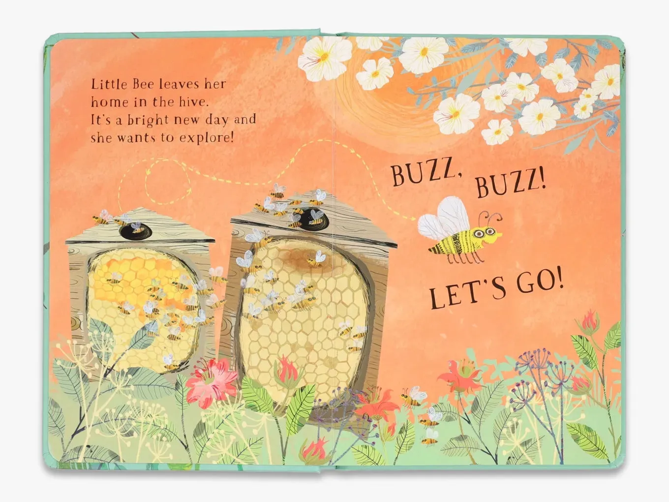 Thames & Hudson The Big Book Little Bee's Book of Blooms papbog baby