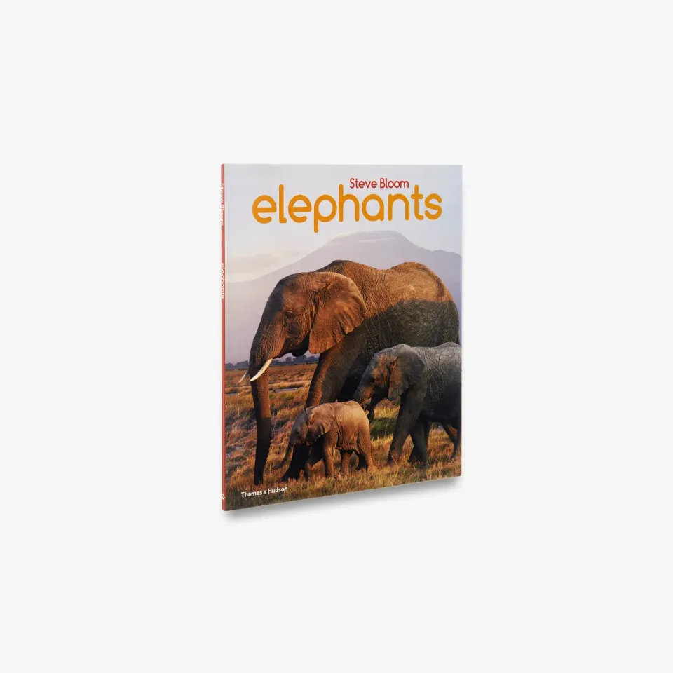 Thames & Hudson Elephants fagbog elefanter
