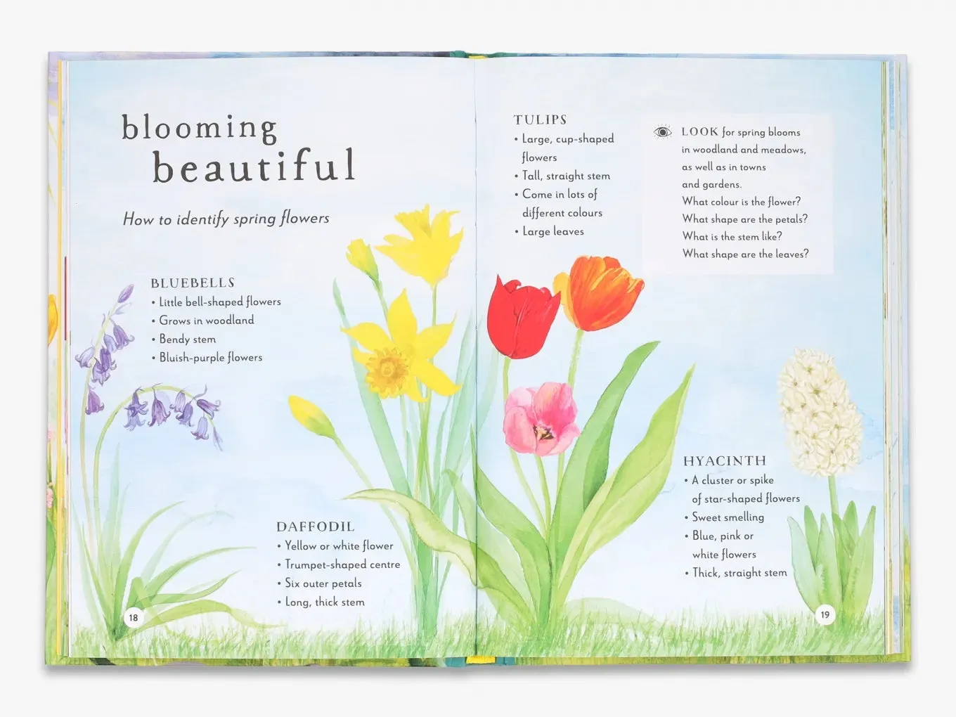 Thames & Hudson A Field Guide to Spring børnebog – natur