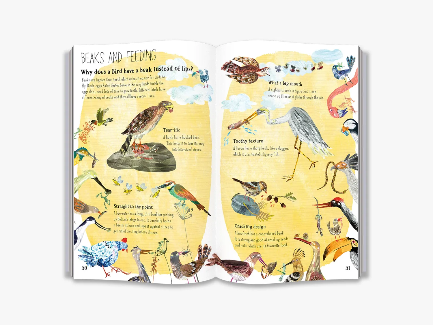 Thames & Hudson The Big Book of Birds børnebog fugle