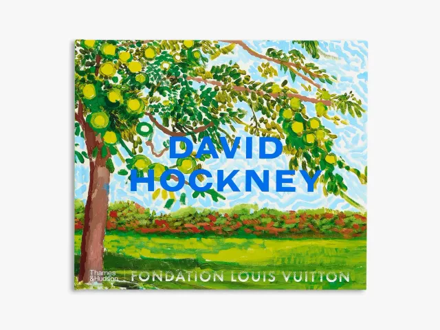 Thames & Hudson David Hockney bog stor illustreret