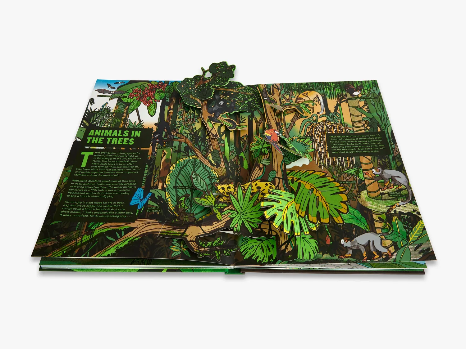 Thames & Hudson Pop-Up Forest pop-op bog skov