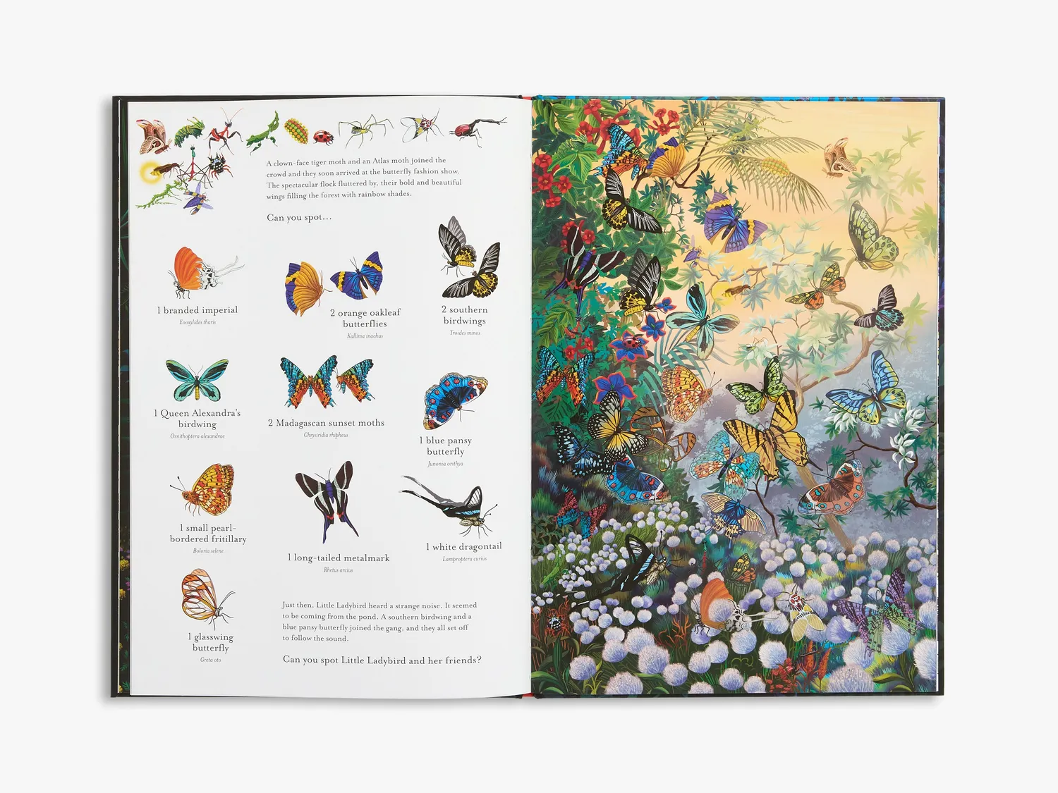 Thames & Hudson The Incredible 3D Bug Hunt børnebog med 3D-briller