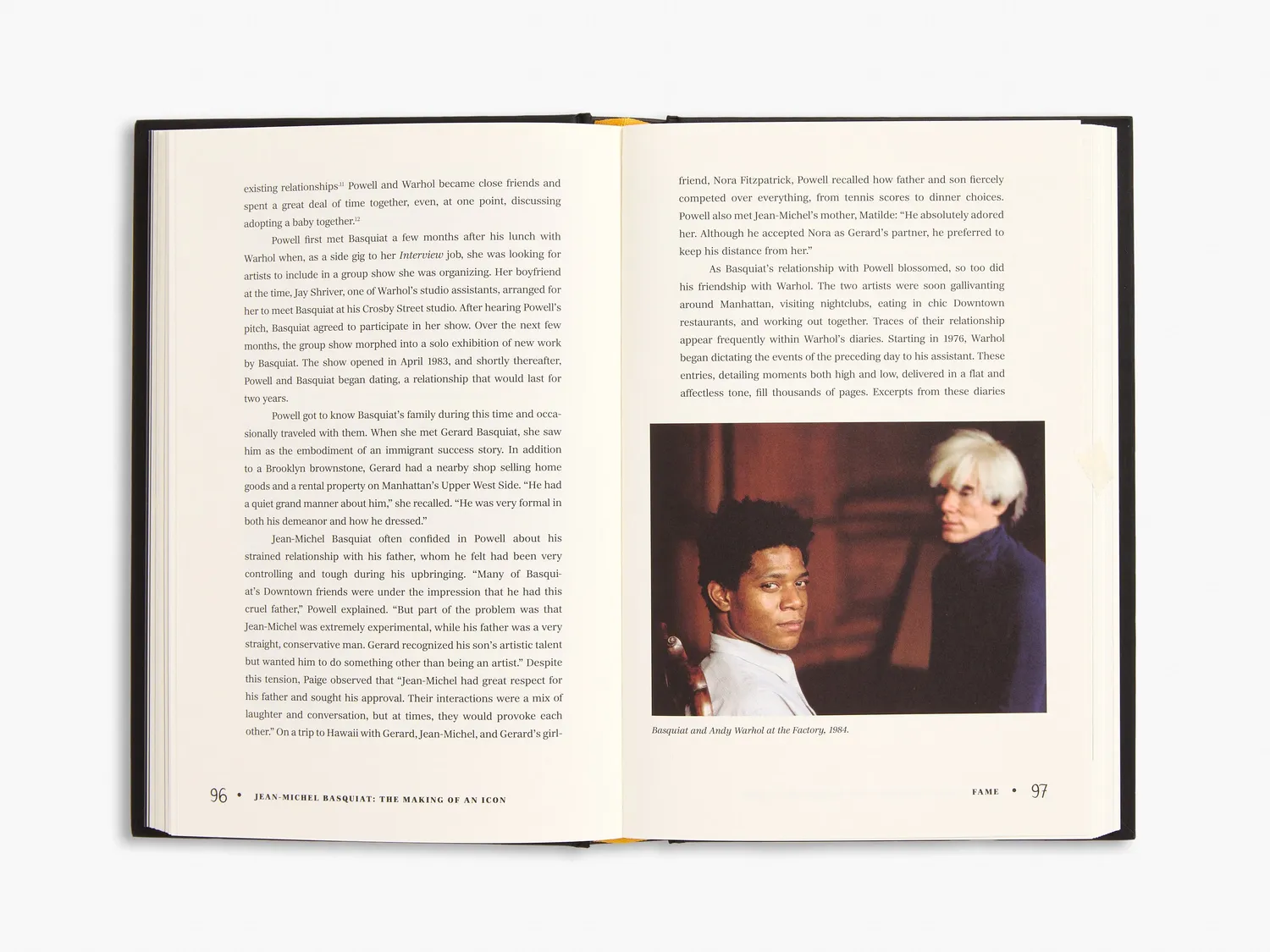 Thames & Hudson Basquiat Making of an Icon bog – biografi