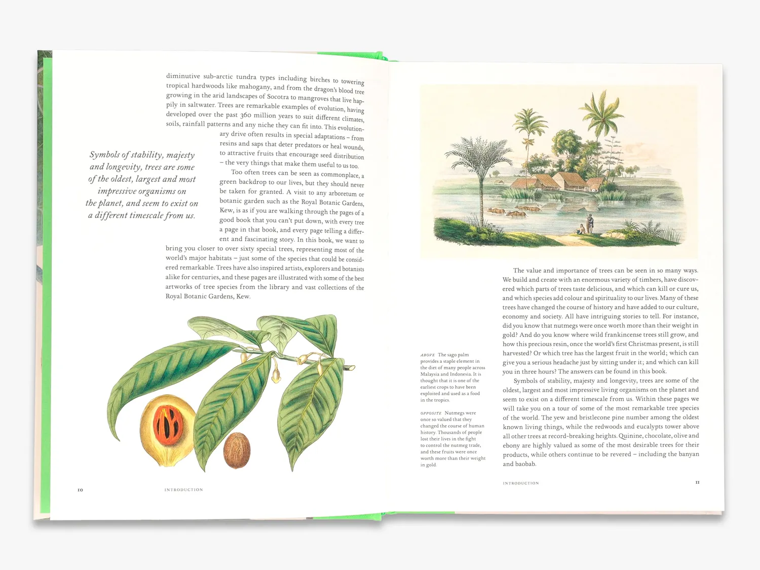 Thames & Hudson Remarkable Trees bog om træer