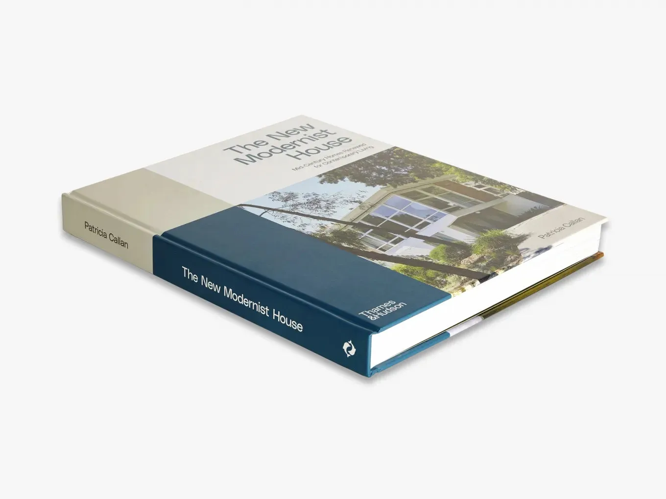 Thames & Hudson The New Modernist House bog – 21 huse