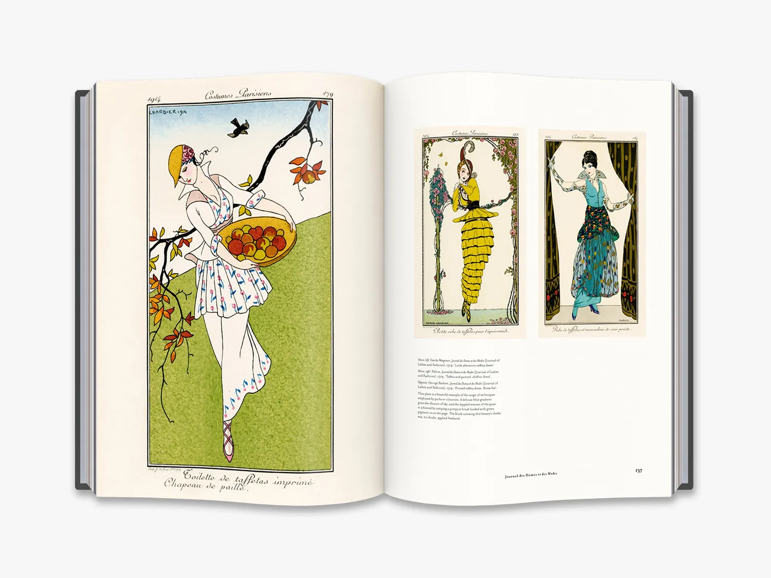 Thames & Hudson Fashion and the Art of Pochoir bog