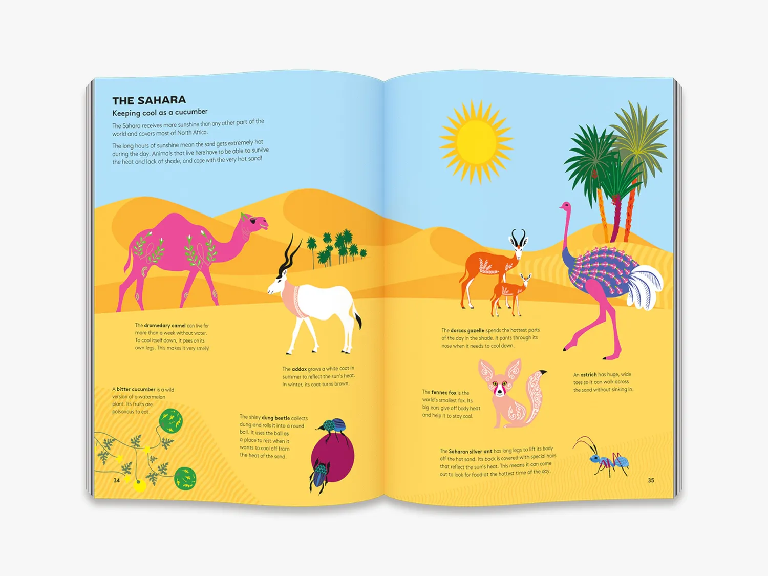 Thames & Hudson Hoot and Howl across the Desert børnebog