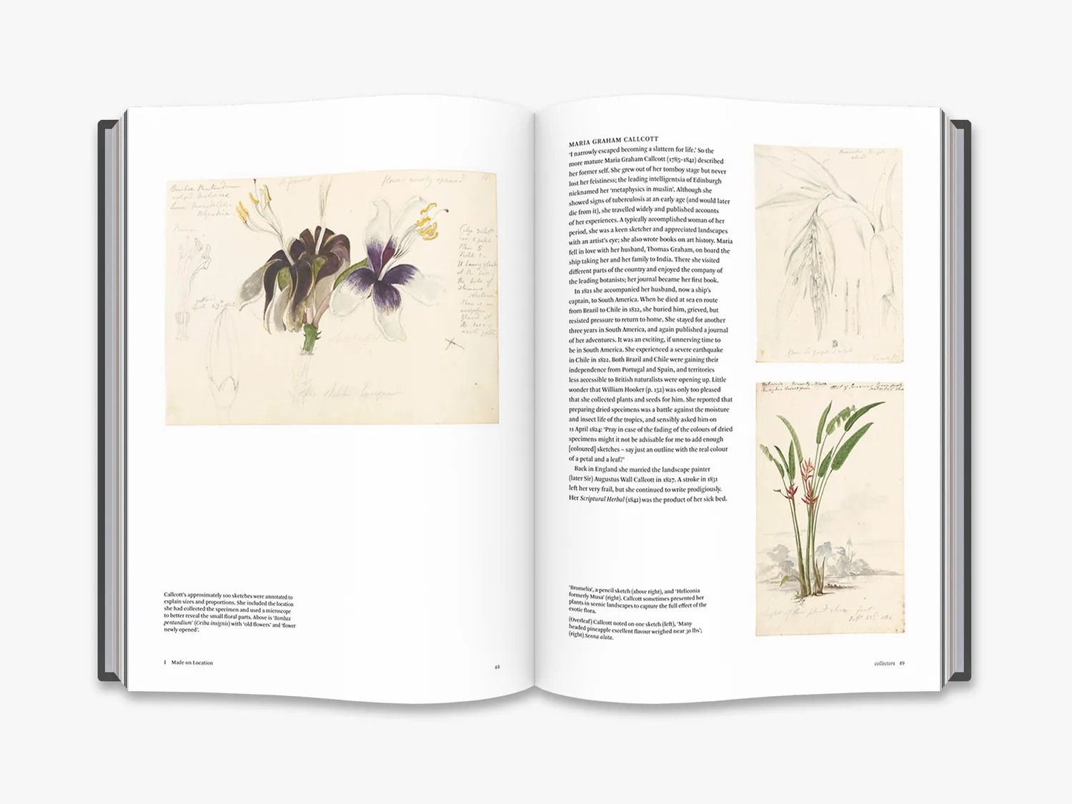 Thames & Hudson Botanical Sketchbooks bog botanisk kunst