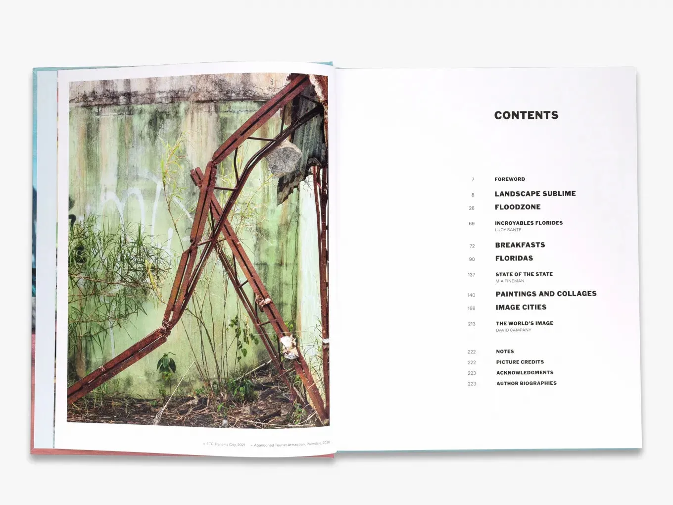 Thames & Hudson Anastasia Samoylova Adaptation fotobog illustreret
